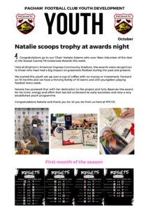 White Modern Business Company Newsletter Flyer – 1