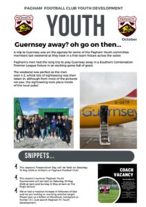 White Modern Business Company Newsletter Flyer – 2