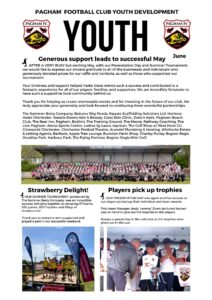 White Modern Business Company Newsletter Flyer – 1